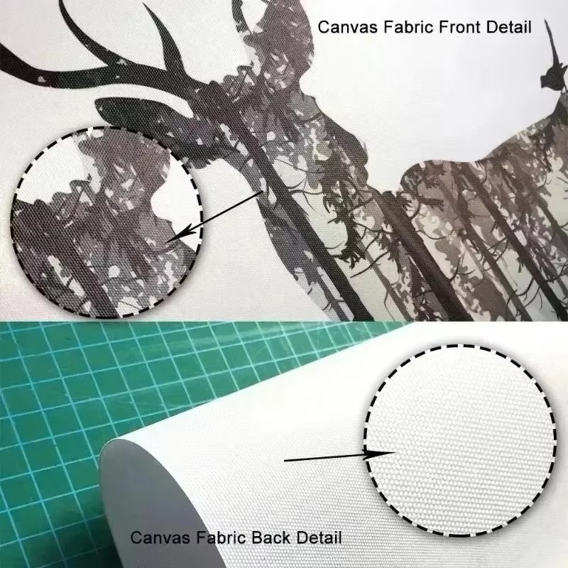 Zebra Jerapah Singa Beruang Pe - Baby Zebra Nursery ulasan dan harga